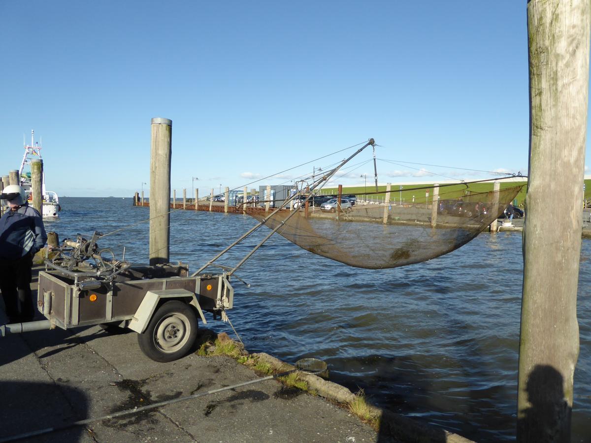 Ferienwohnungen Im Osterkoog Nordstrand Exterior foto